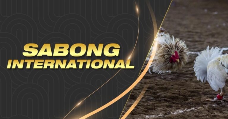 ph fun casino login what does it mean to bet against a stock